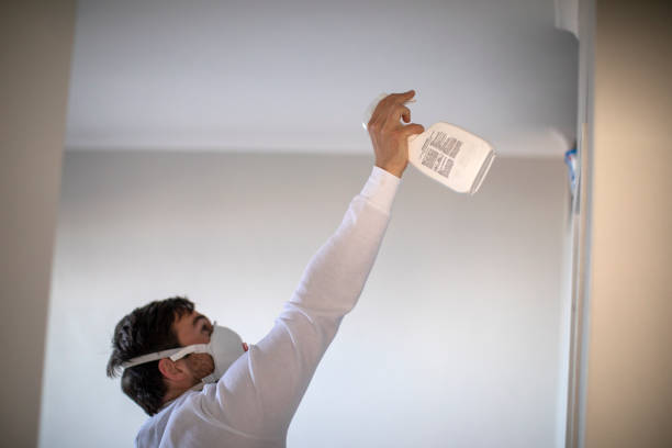 Best Attic Mold Removal  in Nipomo, CA