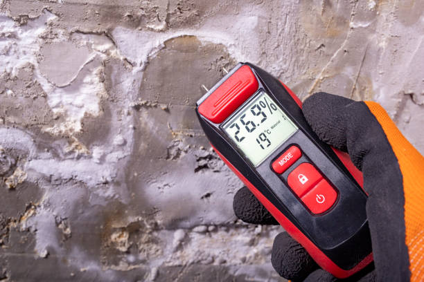 Best Commercial Mold Removal  in Nipomo, CA